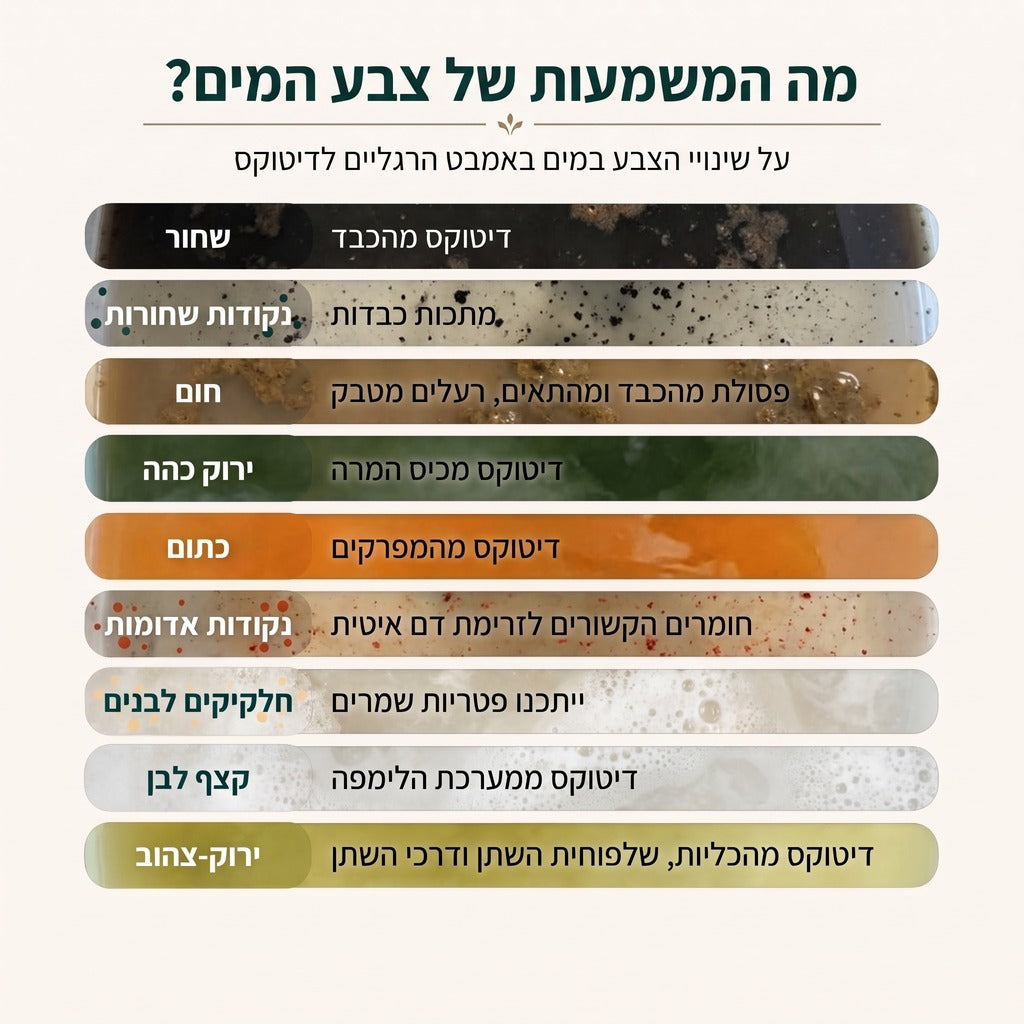 כליל דיטוקס – אמבט רגליים יוני לניקוי רעלים – 5